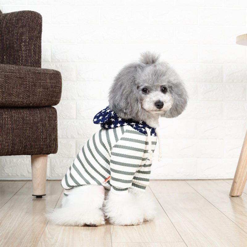 Small dog two-legged cat costume