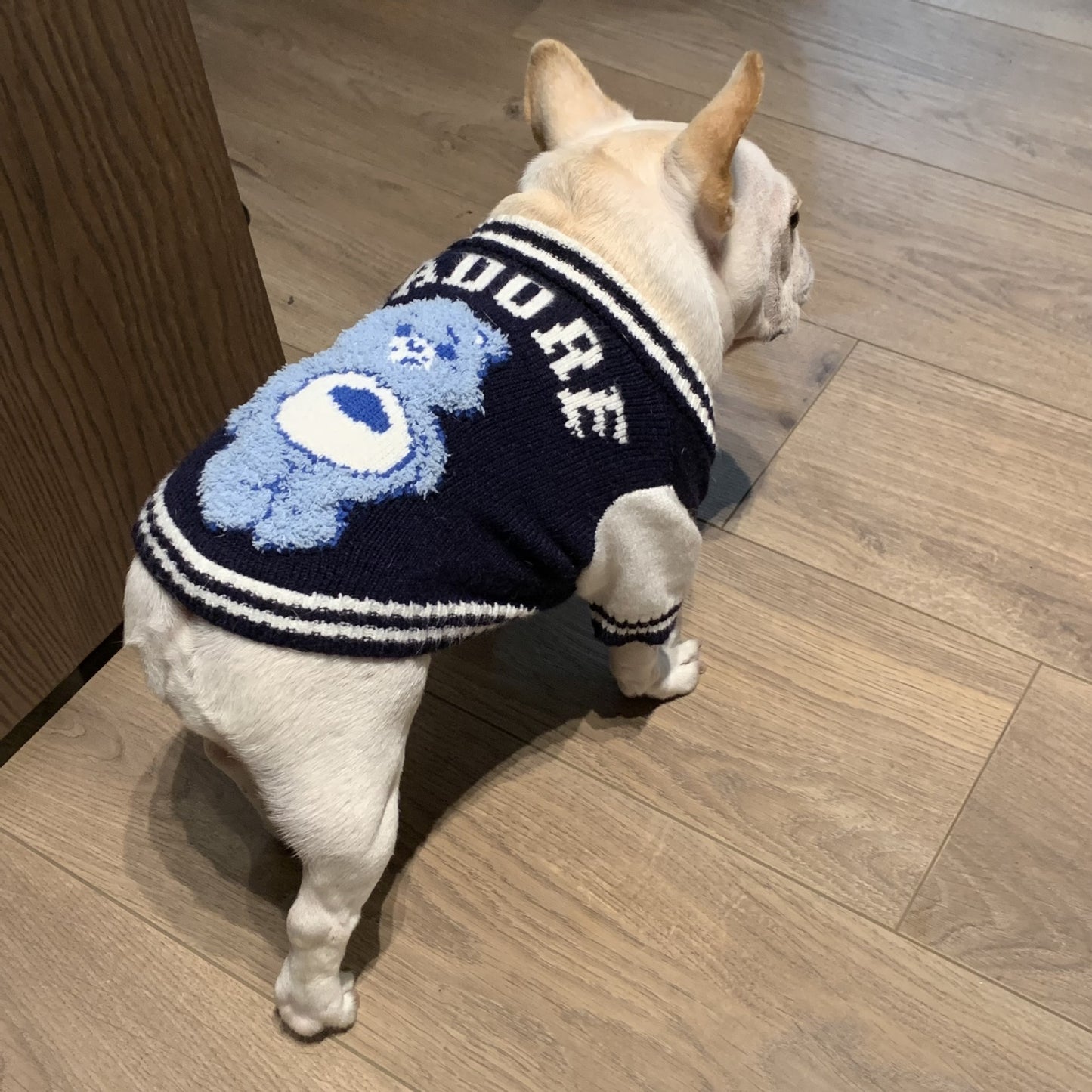 Cat Fighting Schnauzer Kitten Rainbow Bear Pet Sweater