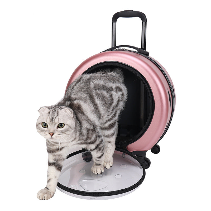 Pet Trolley Bag Transparent Reinforced Portable PC Cat Bag Dog Out