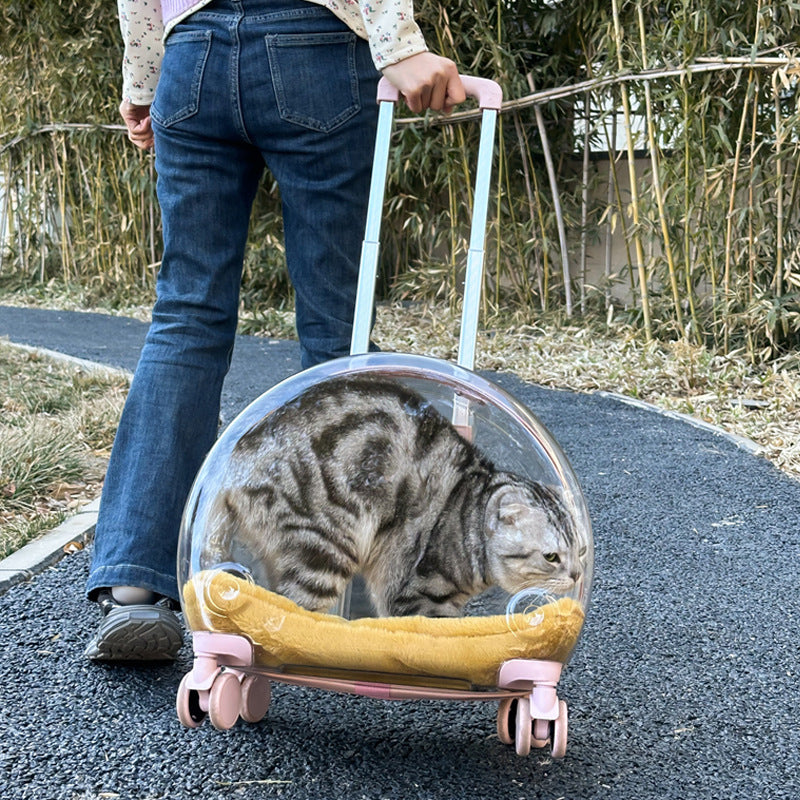 PC Pet Trolley Cat Bag Fully Transparent Reinforcement