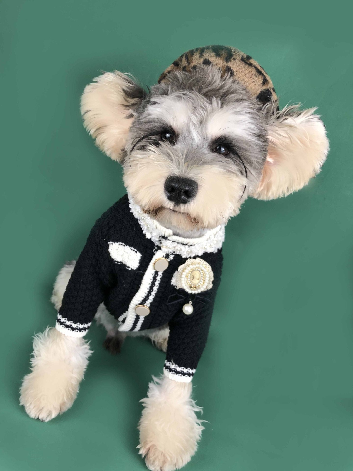Dog Clothes Spring Small Fragrant Wind Sweater Cardigan Schnauzer Pomeranian