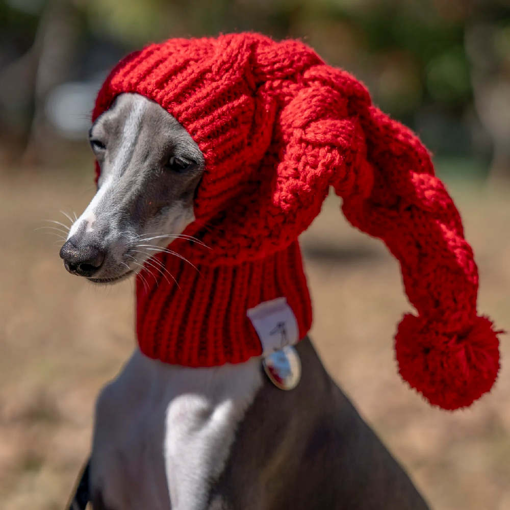 Pet Warm Woolen Hat Takes Cute Photos
