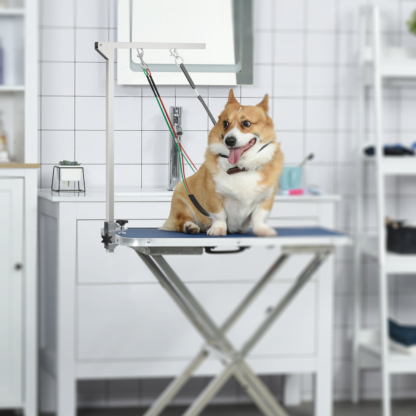 PawHut Adjustable Pet Grooming Arm, With Clamp, Haunch Holders & Grooming Loop - Sliver-Tone