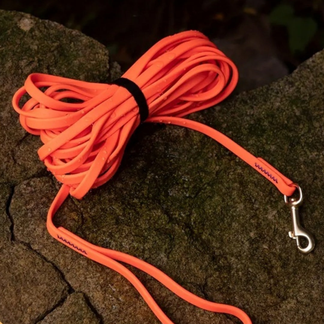 1cm Thickened Pet Skin Texture Training Anti Breaking Loose Dog Leash